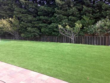 Artificial Grass Photos: Artificial Turf South Whittier California Lawn  Backyard